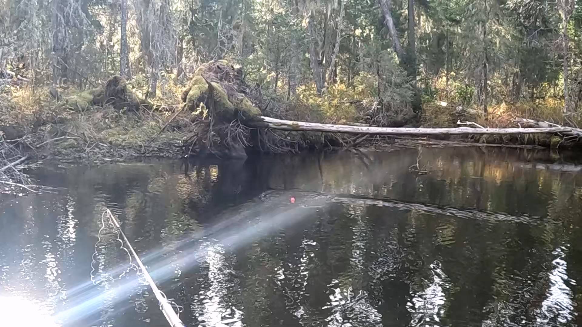 Рыбалка на ХАРИУСА смотреть онлайн