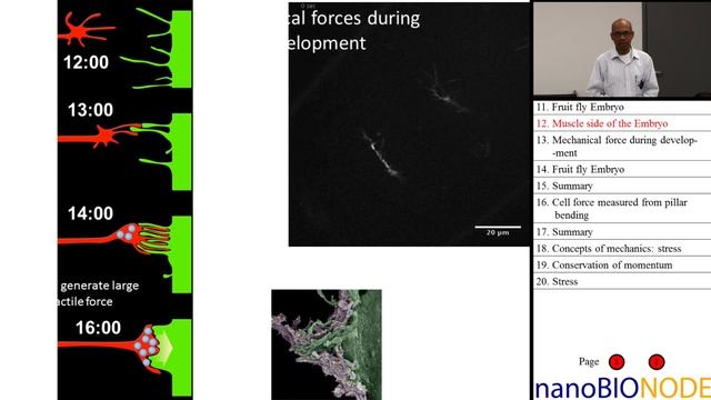 Introduction to Mechanics in Mechanobiology, Part I (Taher Saif) смотреть онлайн