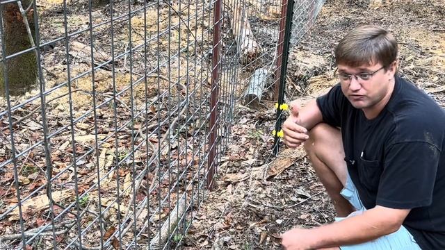 Pig Pen Build: The New Training Pen for Pigs the Electric Fence смотреть онлайн