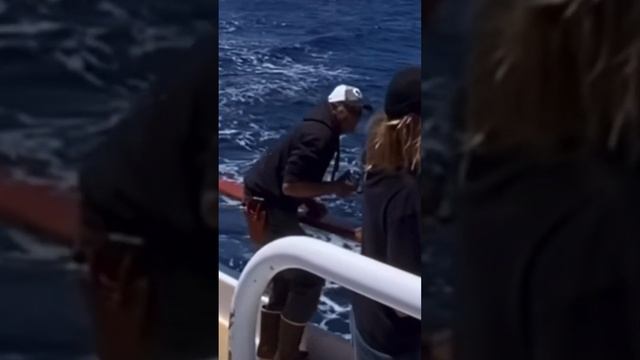 Limits of barracuda in Ensenada; is SoCal next? Full day boat San Diego into bluefin tuna. смотреть онлайн