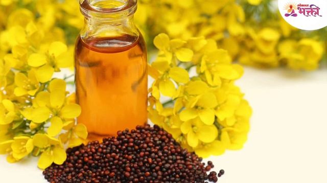 मंगळवारी कोणता १ उपाय केल्याने तुमच्या सर्व इच्छा पूर्ण होतील? Tuesday Tips | Human Desires смотреть онлайн