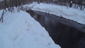 фильм Подсадная утка