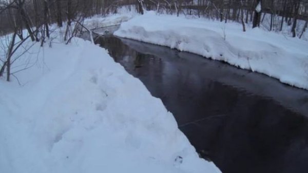 фильм Подсадная утка