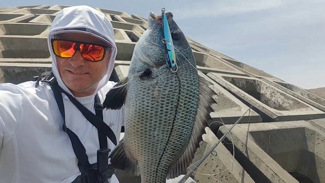 SHORE FISHING. OMAN. Апрель 2024