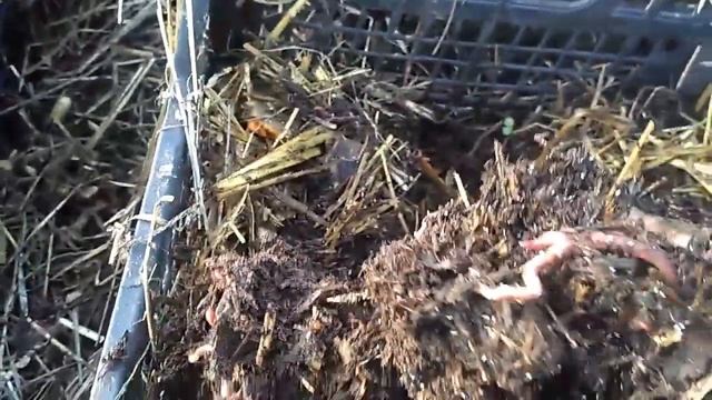 Старатель смотреть онлайн