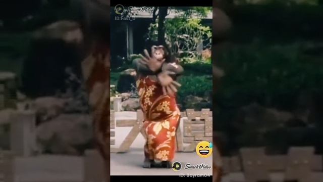 Disco смотреть онлайн