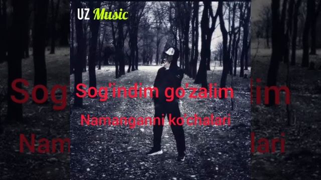 Sog'indim Gõzalim Namanganni Kôchalari #uzmusic#namangan#uzrap