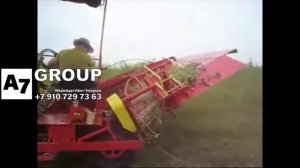 Комбайн прицепной для технической конопли #комбайн  #травы #конопля