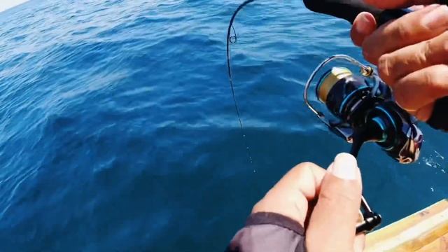 Daiwa Emeraldas Air Lt2500dh + Shimano Grappler Type Lj S660 Light Jigging SLJ