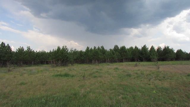 Исчезнувшая деревня Павлов Гай, Лысогорский район.