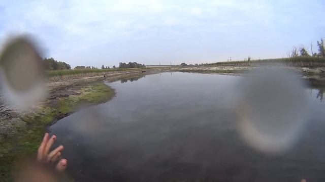 щука сход смотреть онлайн