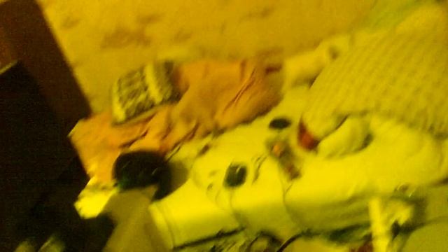 Эксперементальный передатчик на 1,5 мегагерц 2 смотреть онлайн