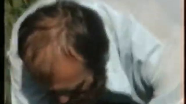 Лето 1995 г ( новое ) смотреть онлайн