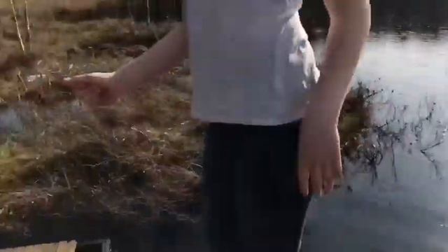 Vlog/Уплыли на плоту/Тайна Леса смотреть онлайн