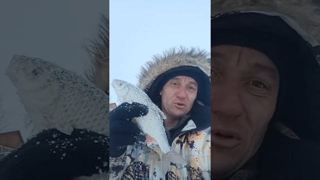 сорога на мотыля смотреть онлайн