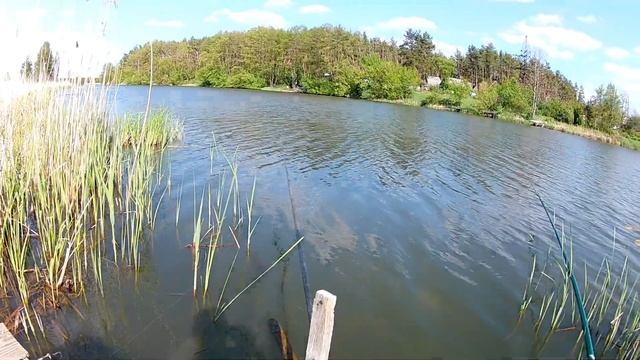 Рыбалка на Поплавок. Окунь На Поплавок смотреть онлайн