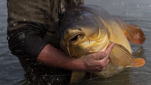 Im Interview mit Felix Hetzmannseder - Mein Frühjahr смотреть онлайн