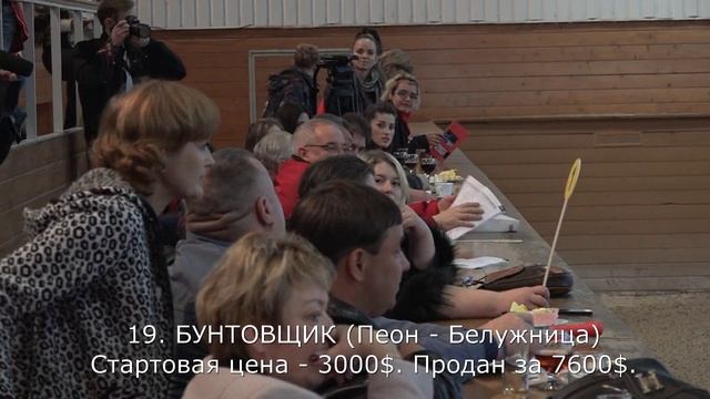 06.10.17. АУКЦИОН МОЛОДНЯКА В МОСКОВСКОМ КОННОМ ЗАВОДЕ. ЛОТ ЗА ЛОТОМ смотреть онлайн