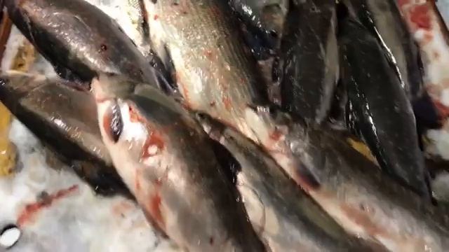 18.12. 23 Литвиново смотреть онлайн