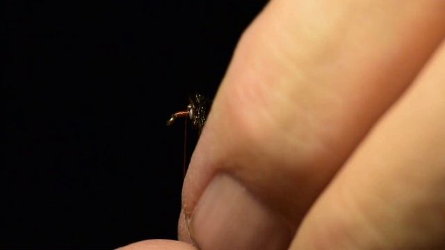 SSPT - Squirrel Schlappen Pheasant Tail смотреть онлайн