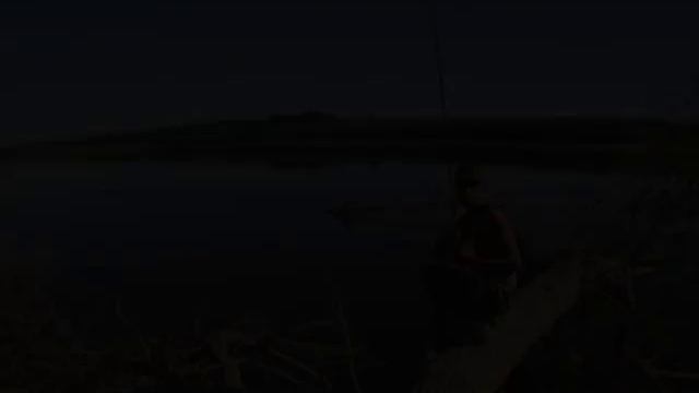 На поваленных деревьях (в коряжнике) / On fallen trees (in snags) смотреть онлайн