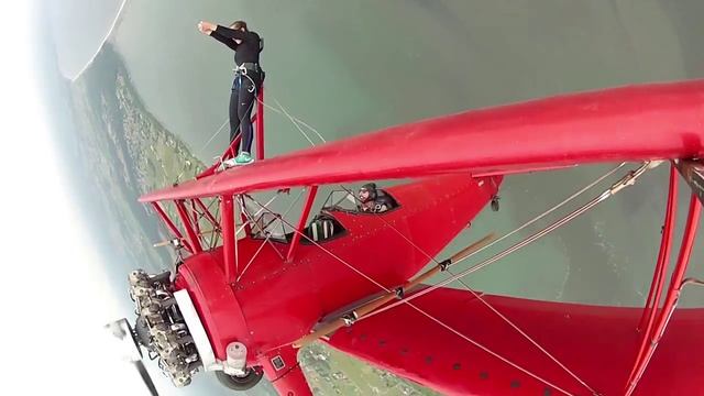 The Wing Walker