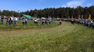 Бакалы Сабантуй 2019