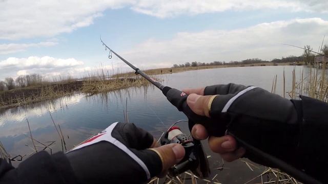 Favorite Impulse IMP-792L-T - спустя несколько месяцев