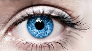 Конец электроники - Пролетарская готика