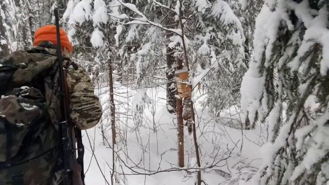 Охота на куницу с капканами 3 смотреть онлайн