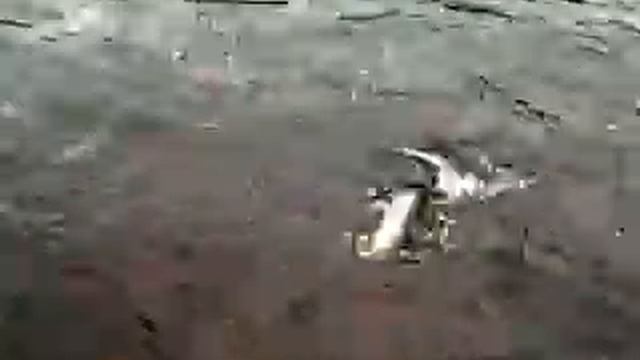 Кольский р.Кица,август 2012. смотреть онлайн