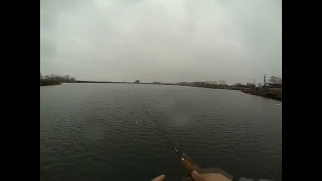 Jackall Chubby Vibration 40