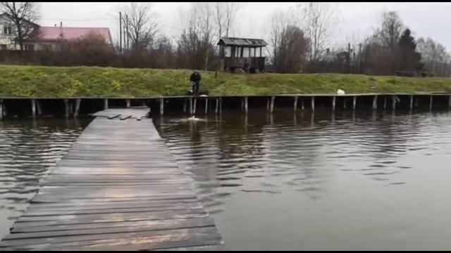 Рыбалка «Сытый Кот» смотреть онлайн