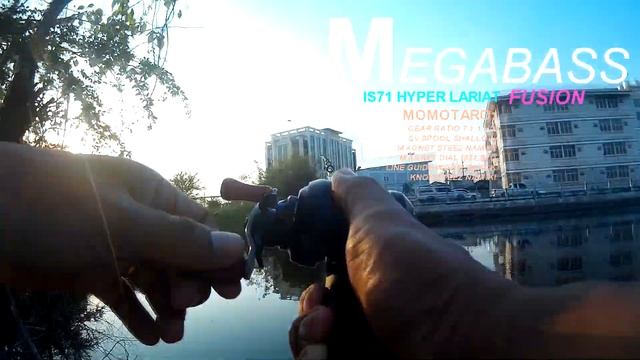 Megabass IS71HL Hyper Lariat Fusion смотреть онлайн