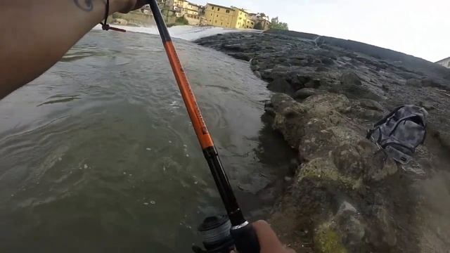 Spinning siluro,catfish 2019 смотреть онлайн