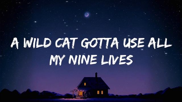 Alok & Alan Walker - Headlights (feat. KIDDO) Lyric Video