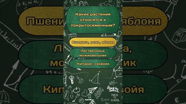 Короткая викторина по теме "Школьная программа" №61 / Тест на эрудицию #викторина #квиз #эрудиция смотреть онлайн