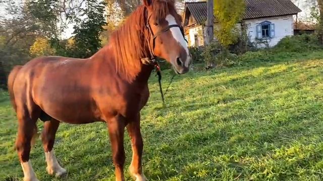 1000009320.mp4 смотреть онлайн