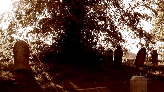 Because I Could Not Stop for Death - by Emily Dickinson - film by Peter Hague - e-brink смотреть онлайн