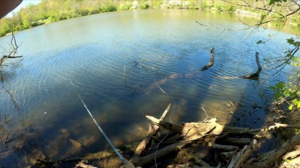 Looking for Big Bass on Bait Finesse: Day 6 of the May Fishing Challenge