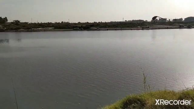 Рыбалка на Сырдарье 2020. Поймали Сазана смотреть онлайн