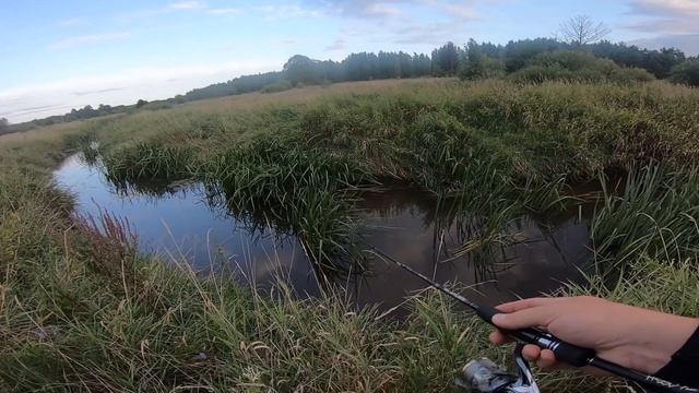 Obrotówka na małej górskiej rzece // sznury kłusownicze // sierpień 2021 смотреть онлайн