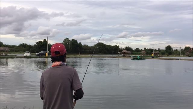 Major Craft Basspara