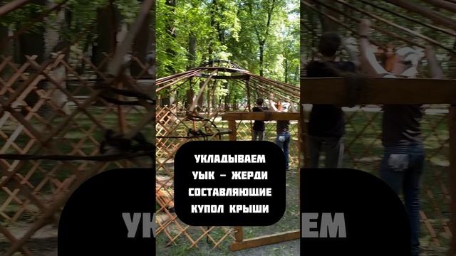 Как поставить юрту? #varenikart #реконструкция #рысь #живаяистория смотреть онлайн