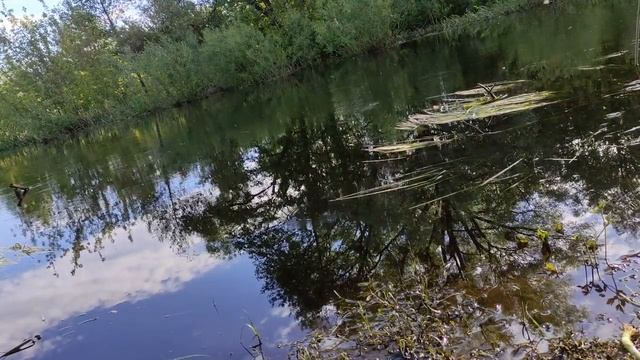 Немного о рыбалке. Хуторок заречный. Домик в лесу на речке. Уехали из города. Белорусская природа. смотреть онлайн
