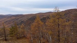 каменная река,горное ущелье и красивая природа Башкирии.