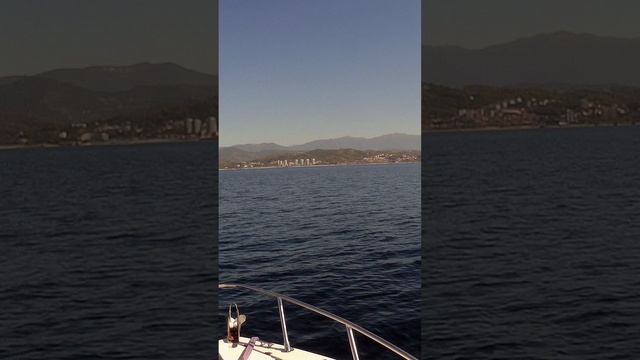 Ядовитый дракон и медуза смотреть онлайн