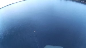 Проводких воблера Slender Pointer 112MR