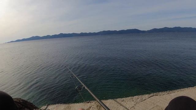 Shore Jigging Atlantic Bonito & Bluefish смотреть онлайн