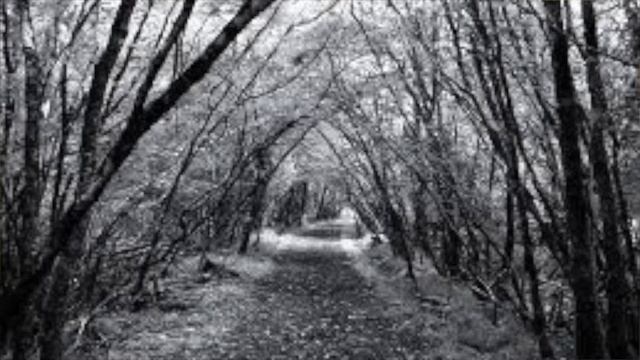 Vampyre John Polidori project смотреть онлайн